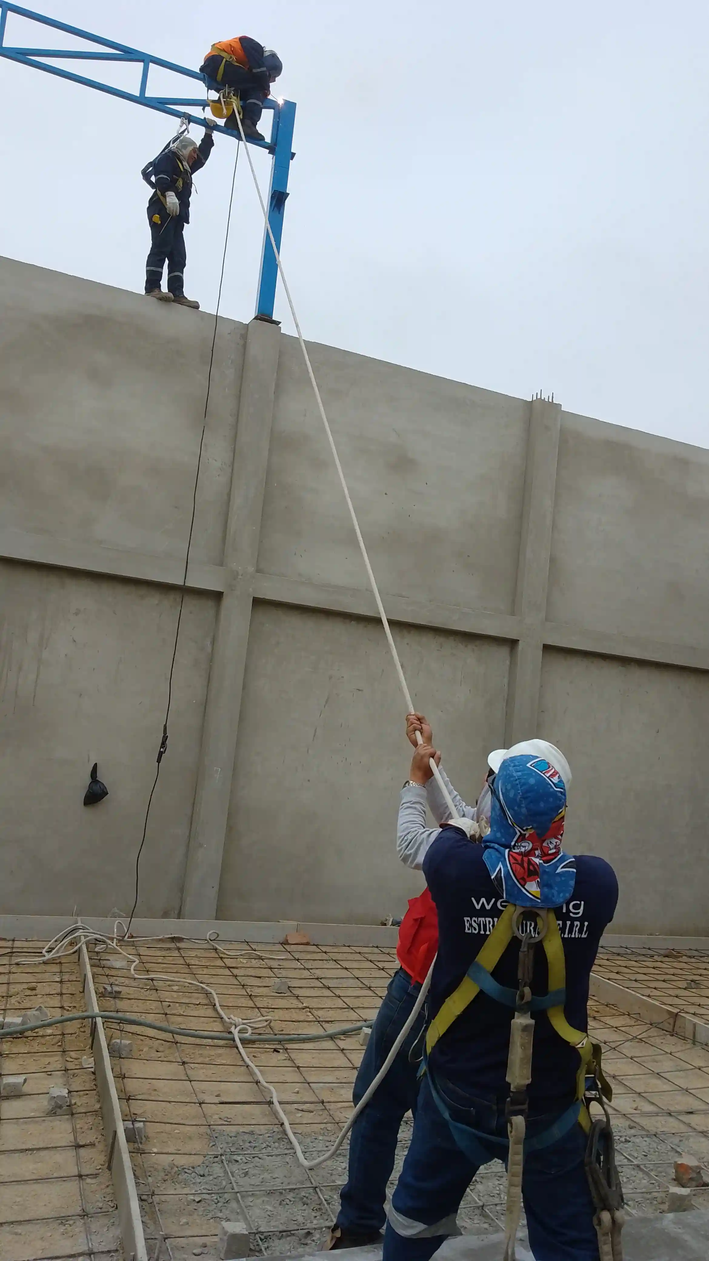 Nave Industrial Crops Protection — imagen 5