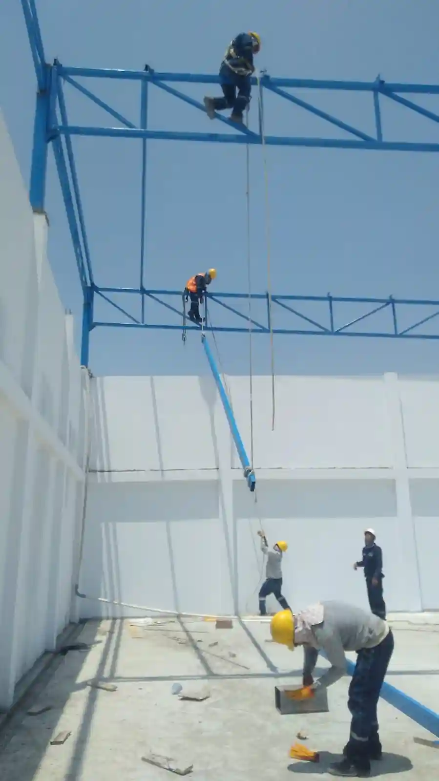 Nave Industrial Crops Protection — imagen 22