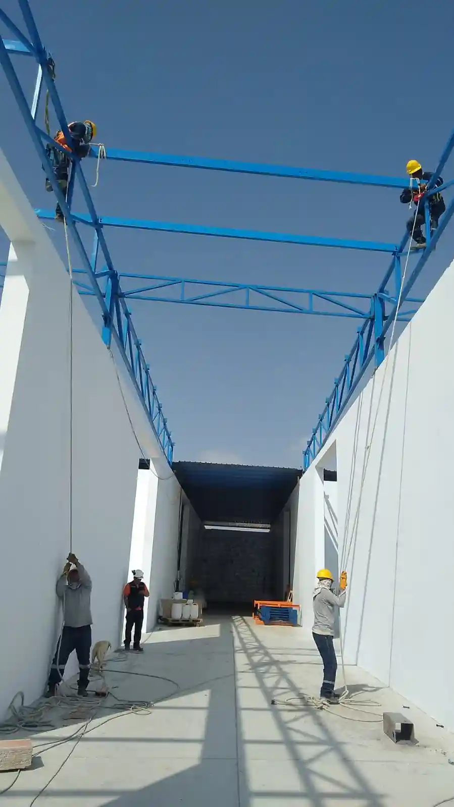 Nave Industrial Crops Protection — imagen 23